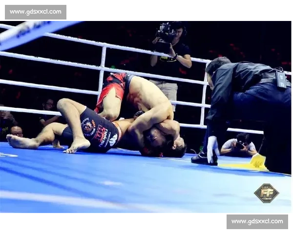 以菲多对决崔洪万的巅峰较量力量与技术的终极碰撞格斗史上最具反差的一战