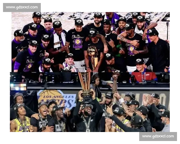 湖人对决热火总决赛第五场高清回顾詹眉统治级表现全纪录