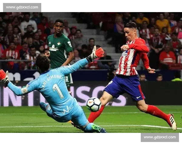 比利时对阵意大利强强对话引爆欧洲足坛焦点之战战术博弈与荣耀角逐