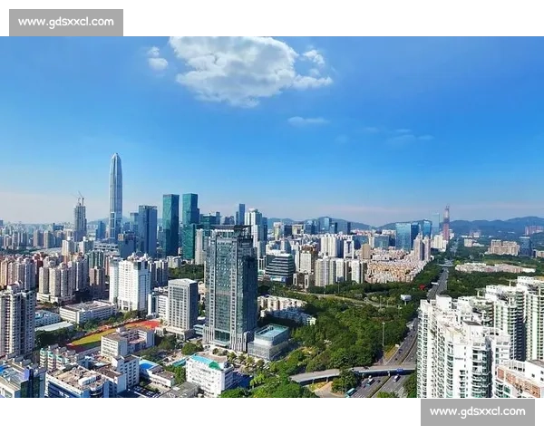 深圳与广东经济发展对比：创新驱动与区域协同的未来前景分析
